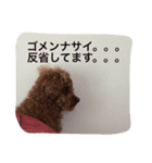 しゃくれのRANちゃん（個別スタンプ：8）