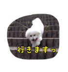 ムクタン♡2（個別スタンプ：4）