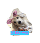 DDBstamp（個別スタンプ：2）