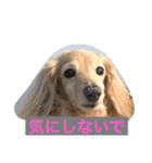 DDBstamp（個別スタンプ：3）