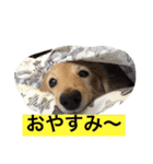 DDBstamp（個別スタンプ：5）