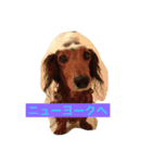 DDBstamp（個別スタンプ：6）