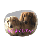 DDBstamp（個別スタンプ：10）