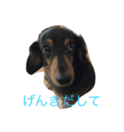 pinortamp2（個別スタンプ：4）