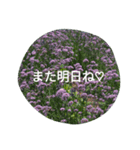 Heart to Heart for（個別スタンプ：1）