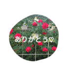 Heart to Heart for（個別スタンプ：3）