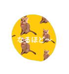 Heart to Heart for（個別スタンプ：5）