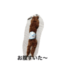 CHIRO Tiny poodle（個別スタンプ：1）