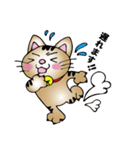 ニャンドボール（個別スタンプ：5）