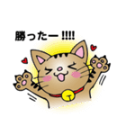 ニャンドボール（個別スタンプ：10）