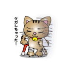 ニャンドボール（個別スタンプ：13）