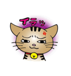 ニャンドボール（個別スタンプ：19）