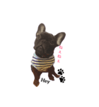 フレブルGちゃん（個別スタンプ：8）