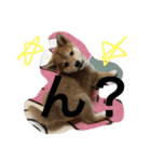 虎太郎 日常編（個別スタンプ：17）
