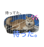 虎太郎 日常編（個別スタンプ：18）