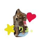 虎太郎 日常編（個別スタンプ：21）