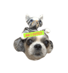 Sushi The Dog（個別スタンプ：4）