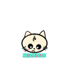 lt is a cat（個別スタンプ：7）