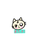 lt is a cat（個別スタンプ：33）