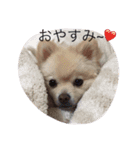 もなスタンプ（個別スタンプ：1）