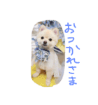 もなスタンプ（個別スタンプ：4）
