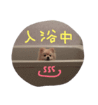 もなスタンプ（個別スタンプ：8）