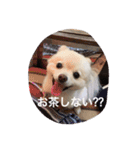 もなスタンプ（個別スタンプ：16）