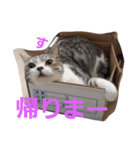 TAKUKOMA（個別スタンプ：4）
