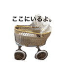 Baby kiko（個別スタンプ：7）