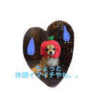 wachichi2（個別スタンプ：13）