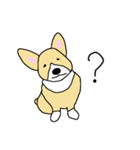 コーギーはじめました。（個別スタンプ：3）