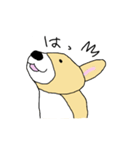 コーギーはじめました。（個別スタンプ：6）