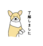 コーギーはじめました。（個別スタンプ：16）