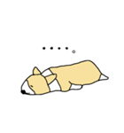 コーギーはじめました。（個別スタンプ：17）