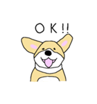 コーギーはじめました。（個別スタンプ：18）