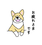 コーギーはじめました。（個別スタンプ：19）