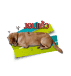 Daimodthasoodchuen kub dog（個別スタンプ：10）