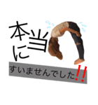 ayanyanko（個別スタンプ：6）