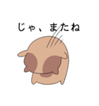 Kkyukkkyuk (Japanese version)（個別スタンプ：12）