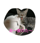 ねこの1日 No3.（個別スタンプ：4）