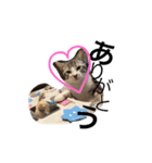ふうた君♥︎♥︎（個別スタンプ：7）