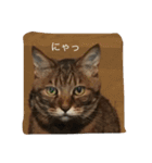 石の上にも3年寝タロー（個別スタンプ：6）