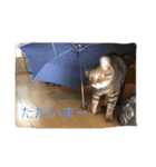 石の上にも3年寝タロー（個別スタンプ：12）