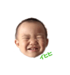 kota'ssticker 2（個別スタンプ：2）
