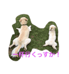 モフモフの独り言（個別スタンプ：1）