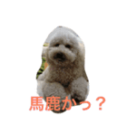 モフモフの独り言（個別スタンプ：6）