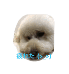 モフモフの独り言（個別スタンプ：7）