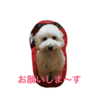 モフモフの独り言（個別スタンプ：9）