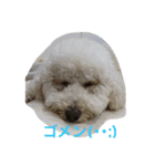 モフモフの独り言（個別スタンプ：10）