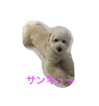 モフモフの独り言（個別スタンプ：16）
